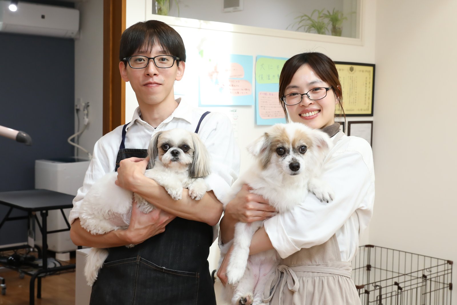 SHIH TZU FLOWER Dog スキンケア美容室の写真
