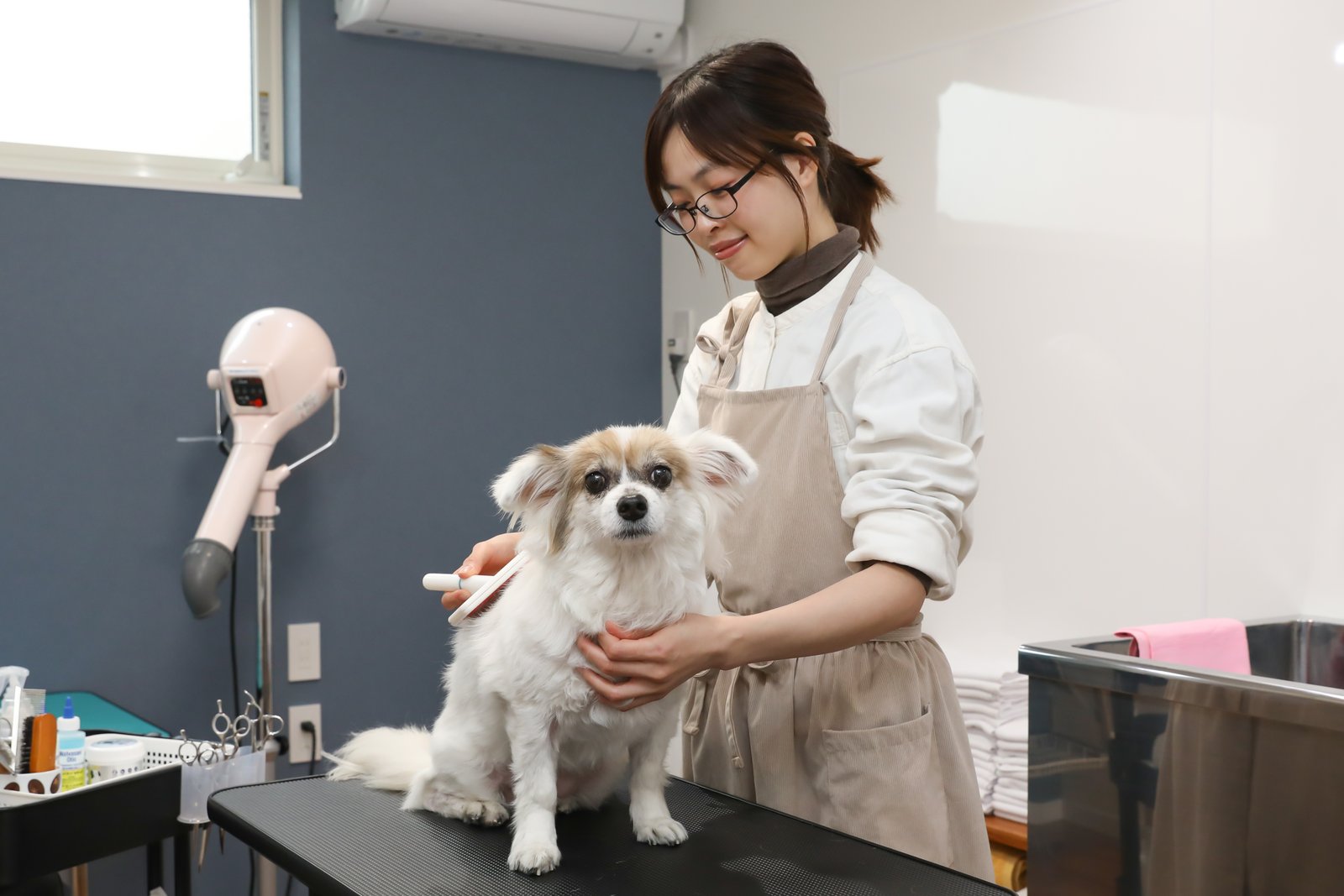 SHIH TZU FLOWER Dog スキンケア美容室の写真2