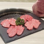 Aランク　ステーキ牛串